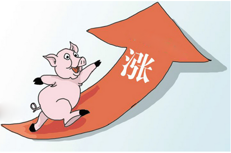 山东省种猪存栏下降41.2%，猪价逐步走高