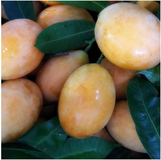广西新柳邕市场：泰国枇杷芒上市 颠覆你对芒果的印象