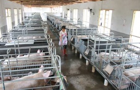 四川省出台畜禽养殖场（小区）规模标准